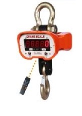 Crane Scale